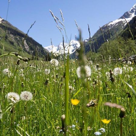 Ferienwohnung Neuhaushof Hollersbach im Pinzgau Exterior foto