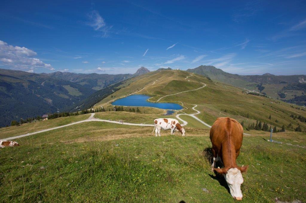 Ferienwohnung Neuhaushof Hollersbach im Pinzgau Exterior foto