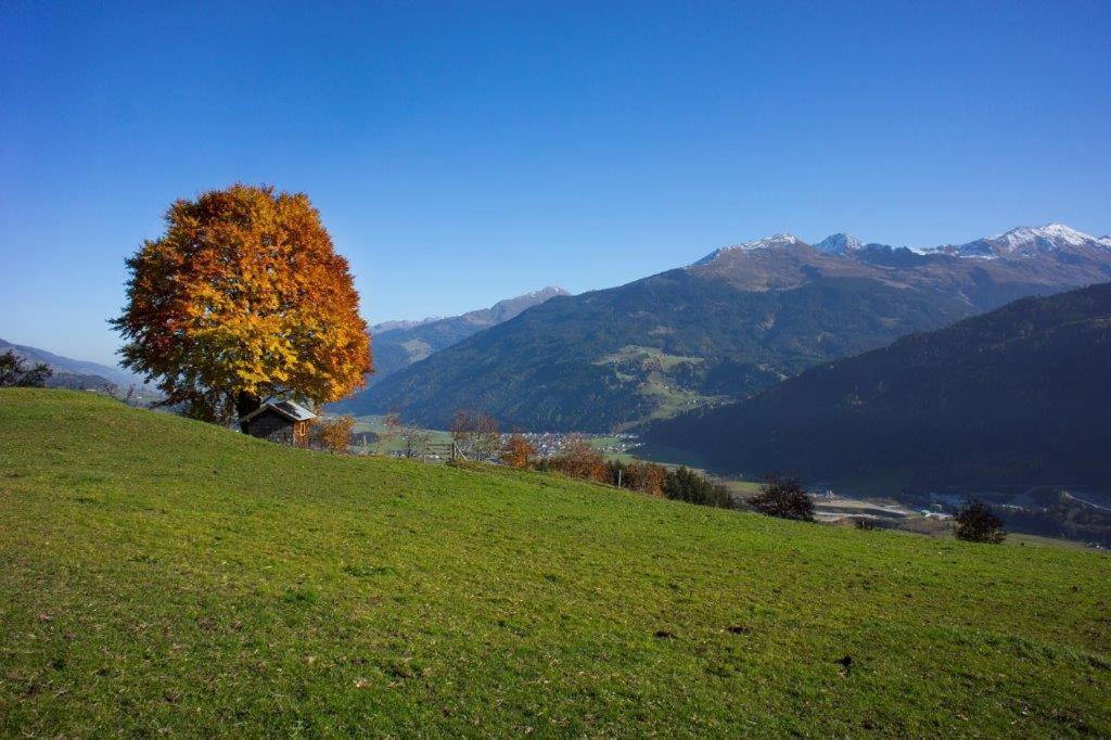 Ferienwohnung Neuhaushof Hollersbach im Pinzgau Exterior foto